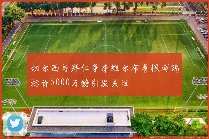 切尔西与拜仁争夺维尔布鲁根海鸥标价5000万镑引发关注